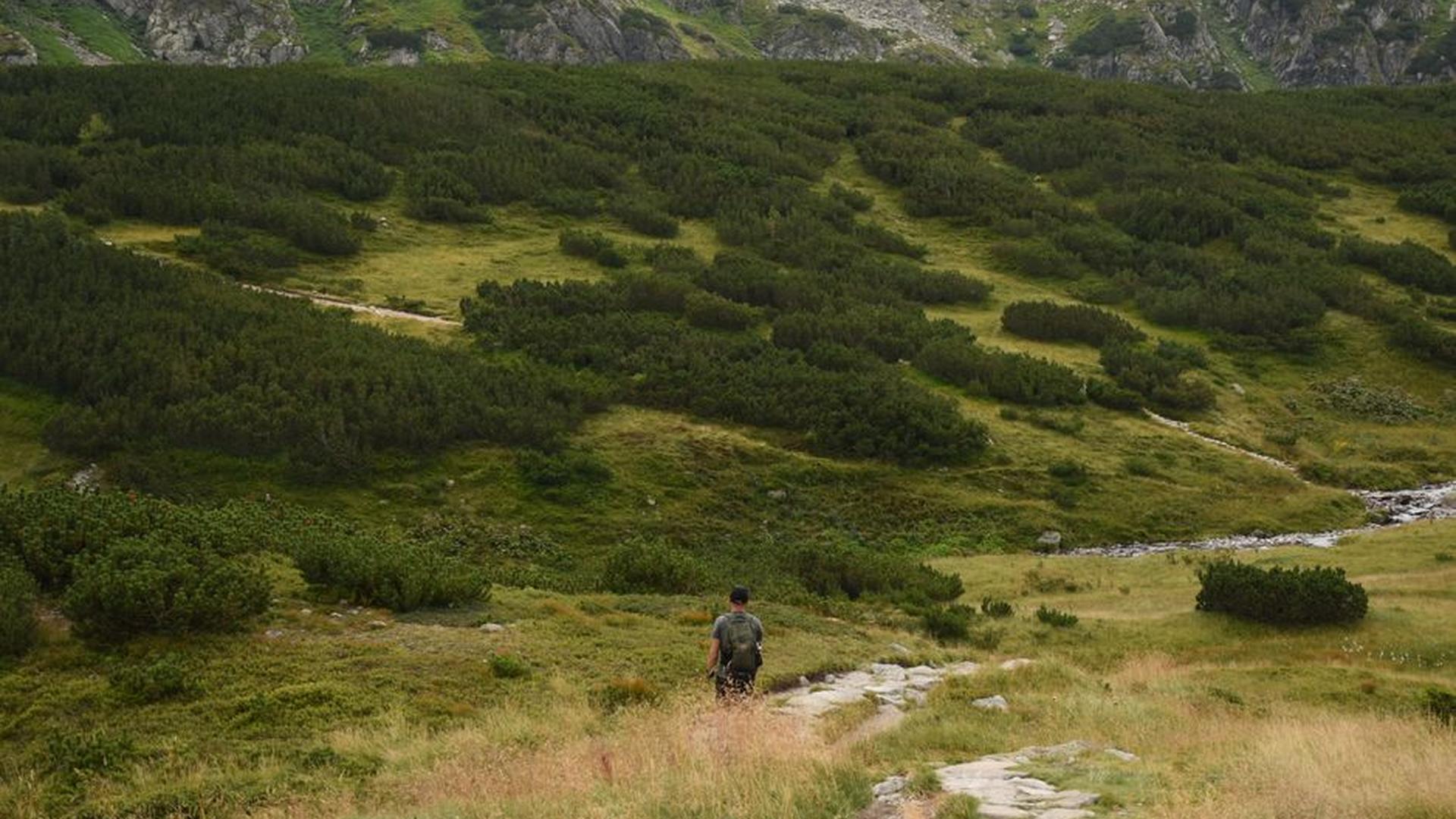 High Tatra Mountains alpine meadows hiking trail s