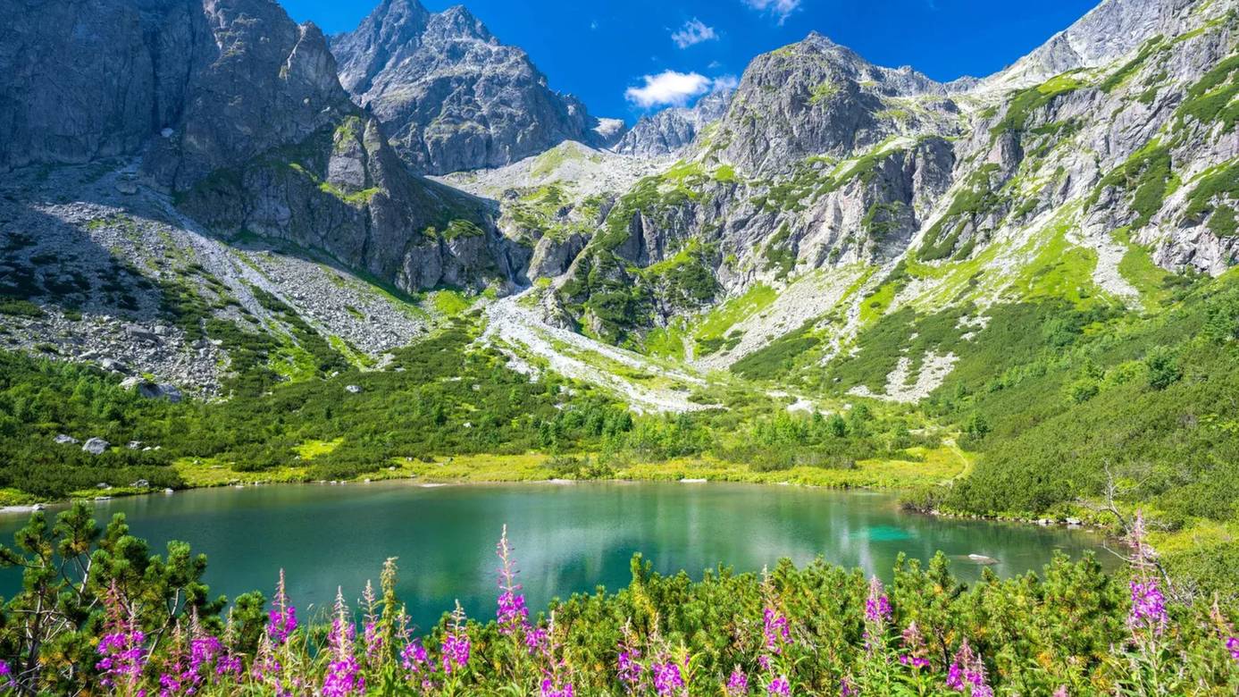 Slovakia forest trail mountain lake quiet countrys