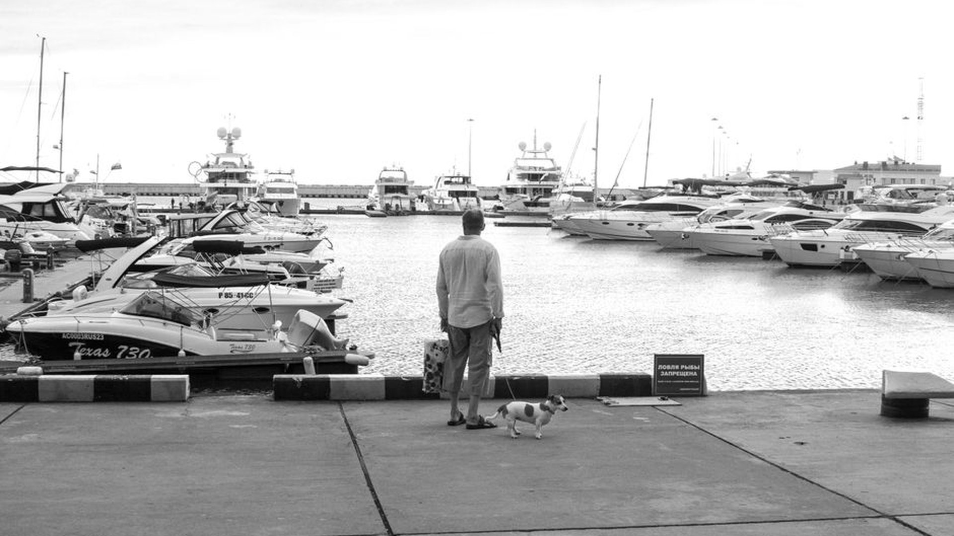 Gothenburg waterfront morning dogs dock old shipya